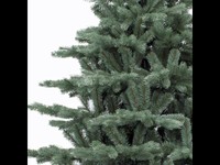 Afbeelding bij Triumph Tree Sherwood Spruce de Luxe Blue 215